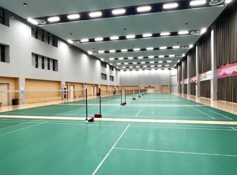 项目的比赛, 健身锻炼的, 通过游戏化